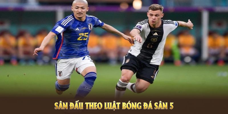 Sân đấu theo luật bóng đá sân 5 có kích thước nhỏ gọn